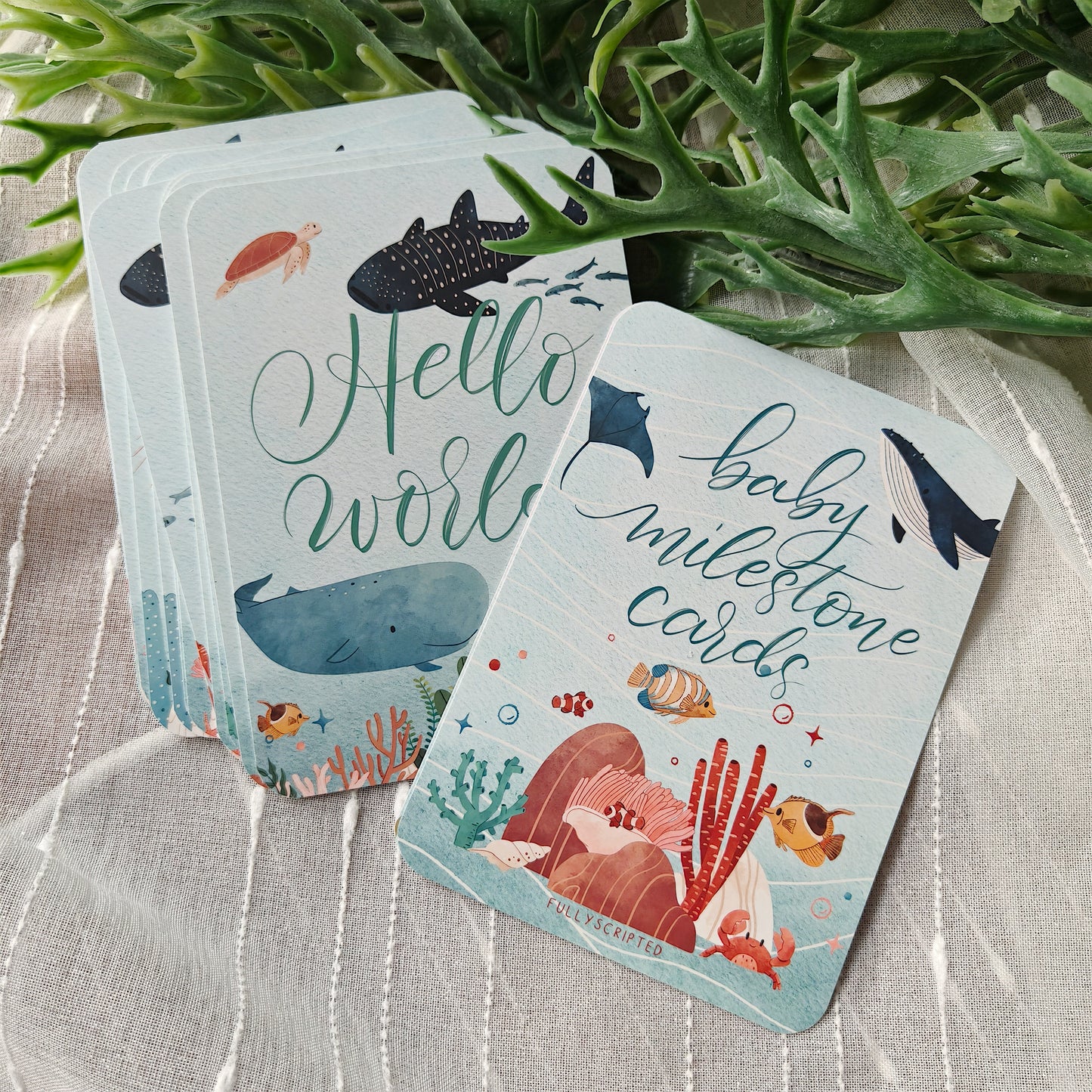 Marine Animals Baby Milestone Cards (Set of 16)