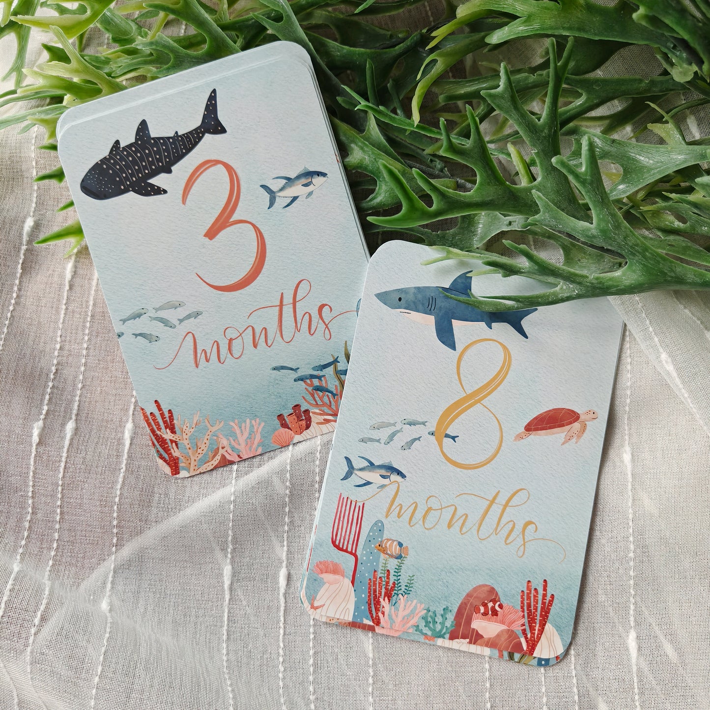Marine Animals Baby Milestone Cards (Set of 16)