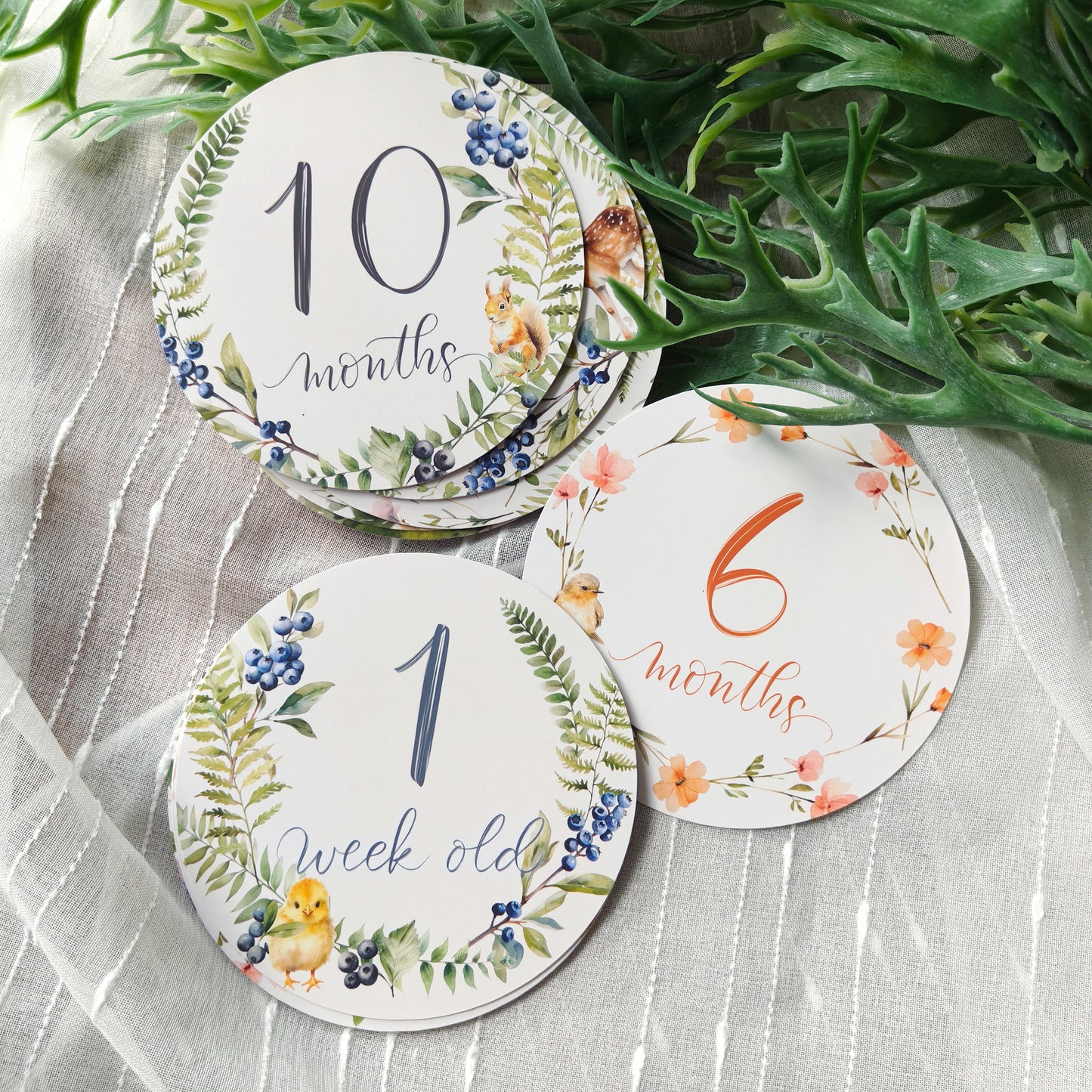 Forest Animals Baby Milestone Cards (Set of 16)