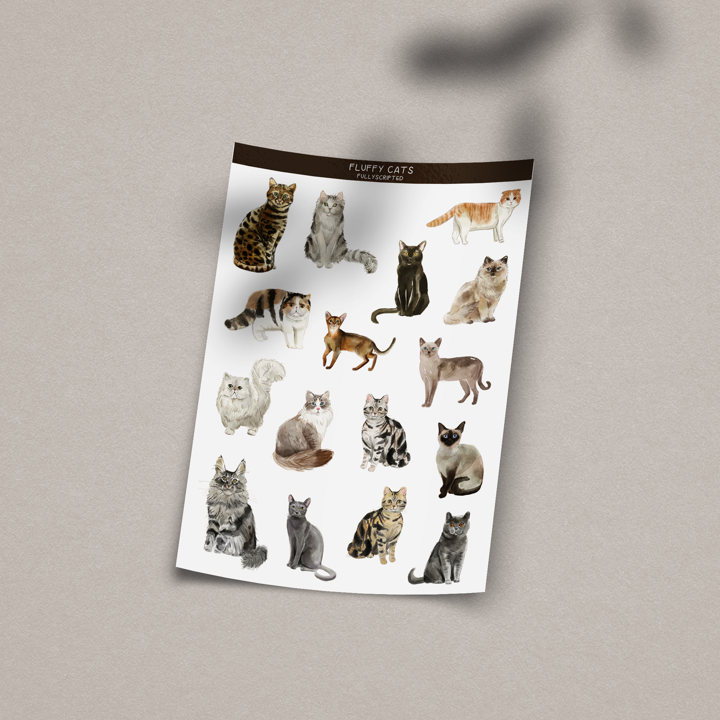 Fluffy Cats Vinyl Sticker Sheet
