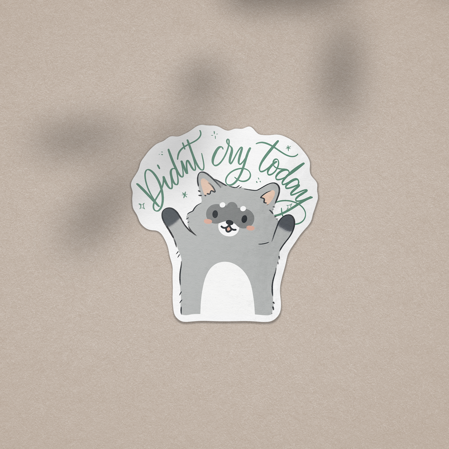 Didn't Cry Today - Waro Raccoon Vinyl Sticker