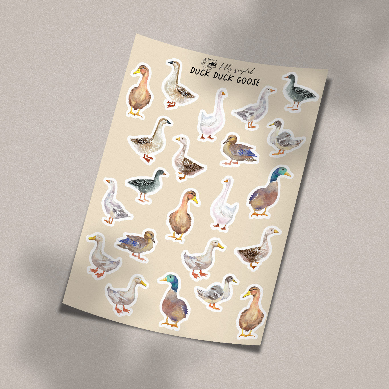 Duck Duck Goose Vinyl Sticker Sheet