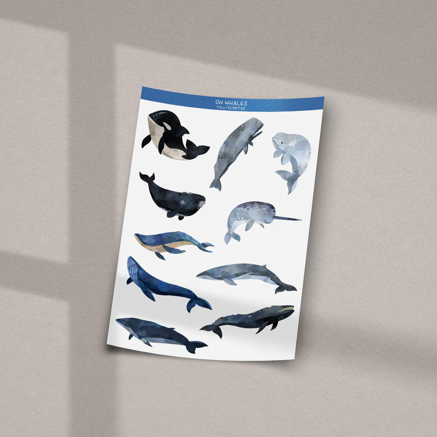 Oh Whales Vinyl Sticker Sheet