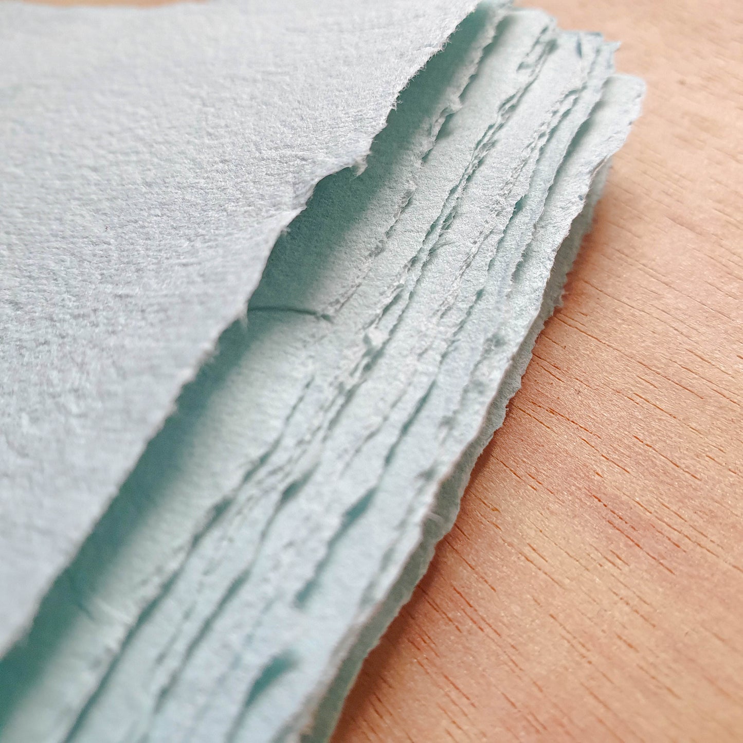 Paper Making Workshop