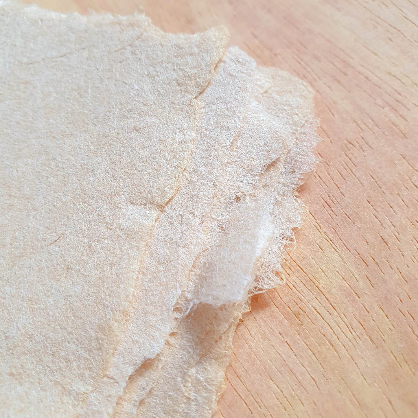 Paper Making Workshop