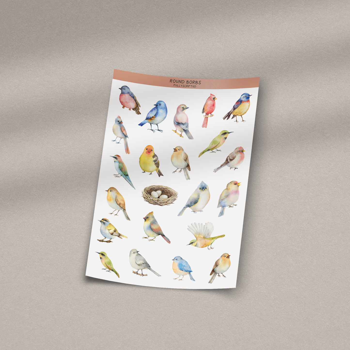 Round Borbs Vinyl Sticker Sheet