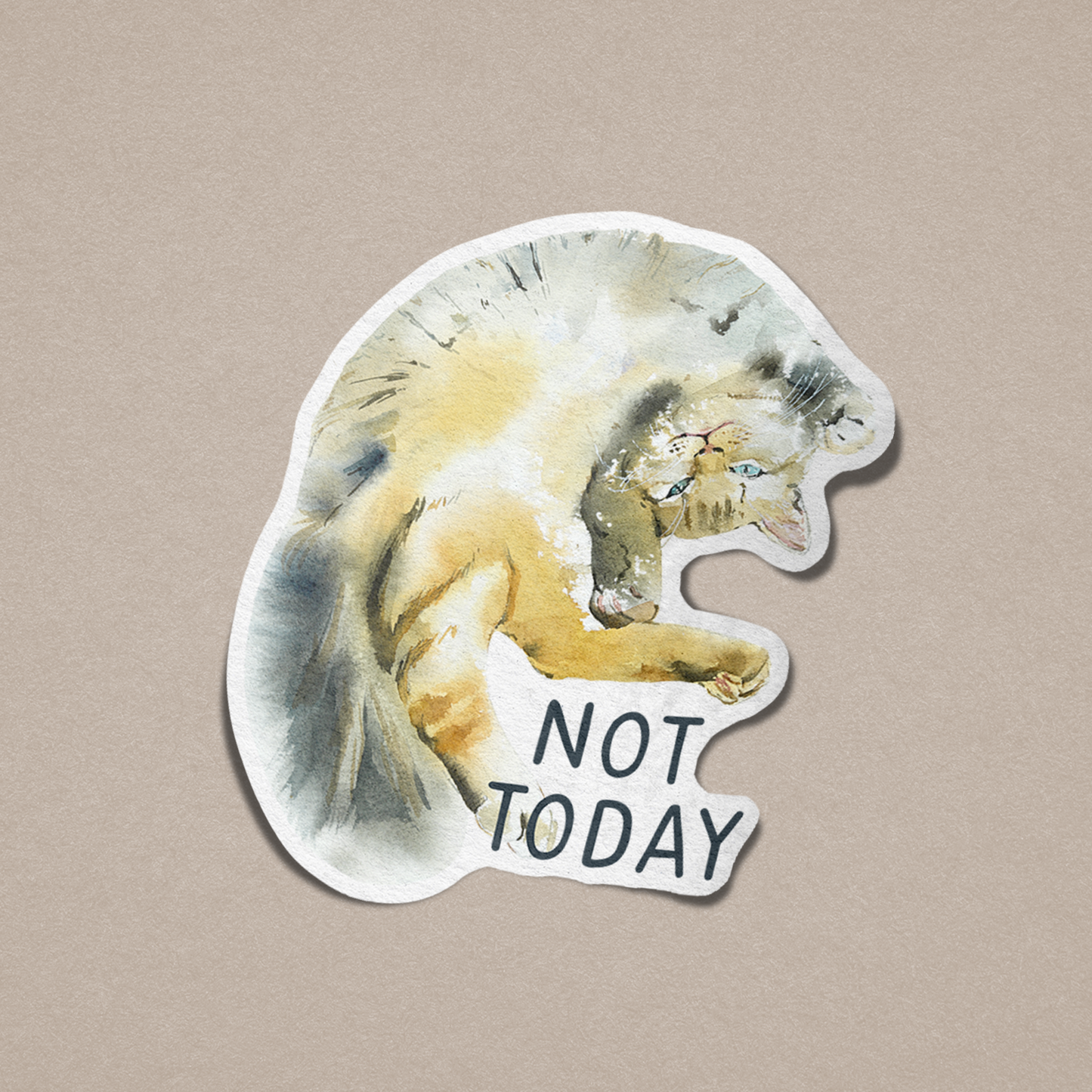 Not Today Vinyl Sticker