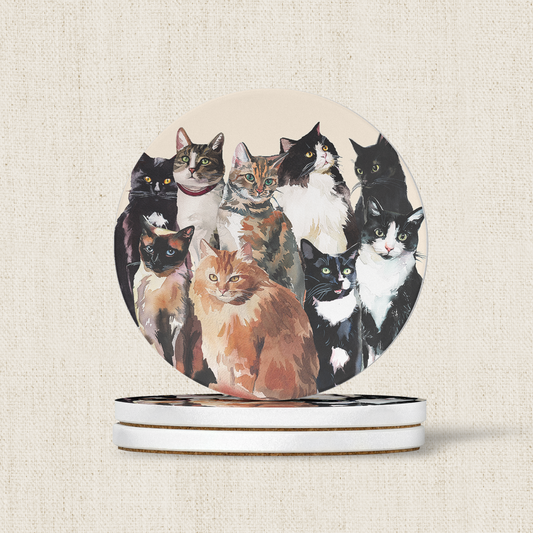 Fluffy Cats Coaster