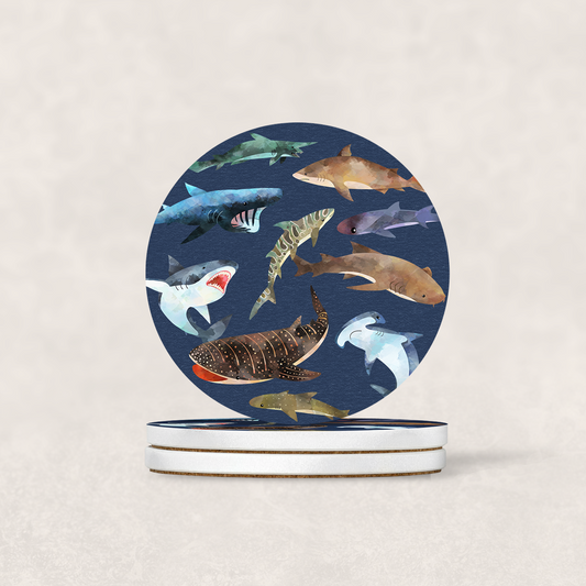 Loads of Sharks Coaster