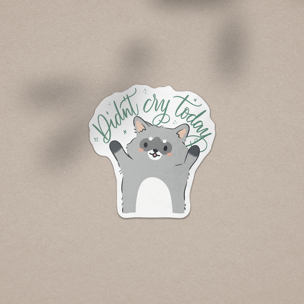 Didn't Cry Today - Waro Raccoon Vinyl Sticker