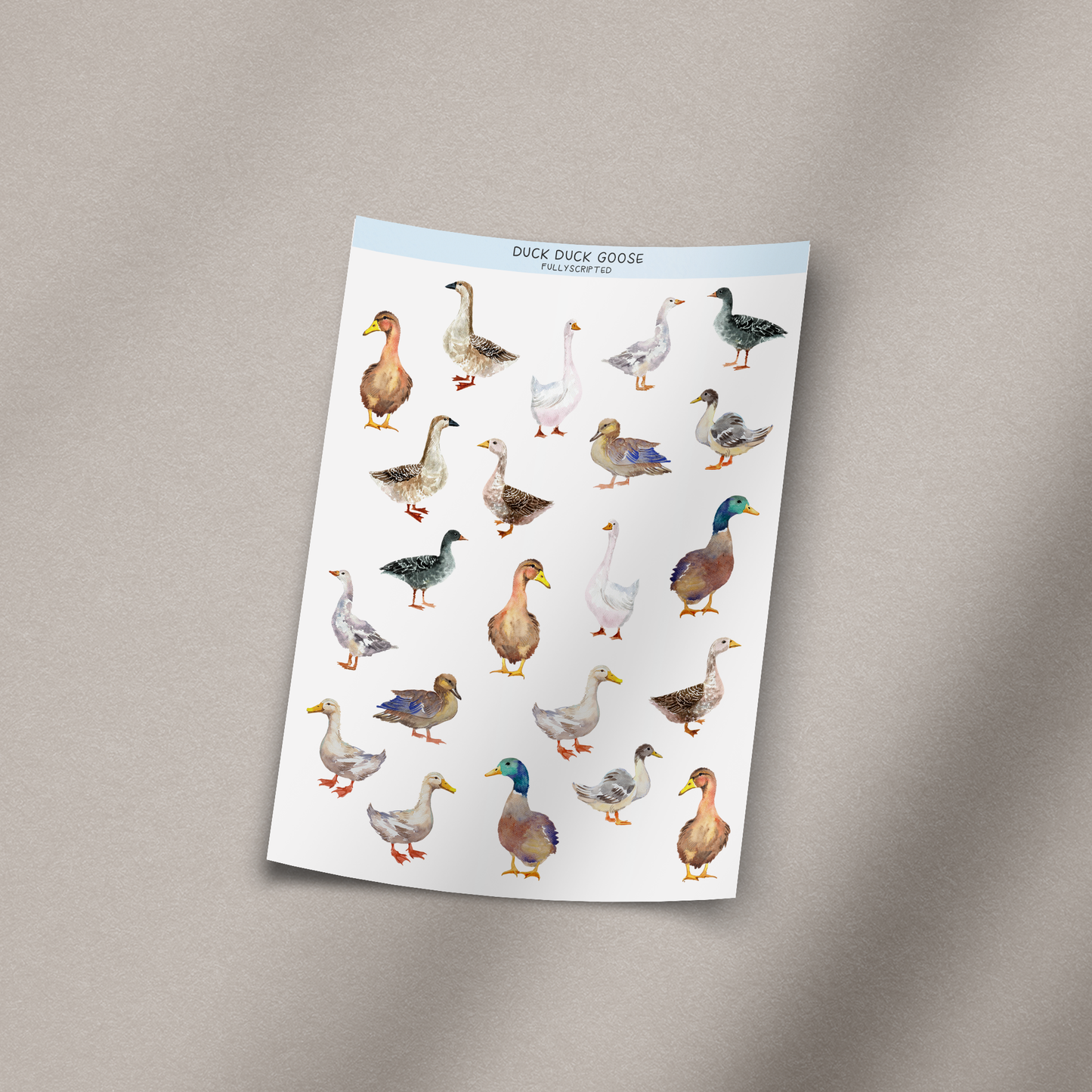 Duck Duck Goose Vinyl Sticker Sheet