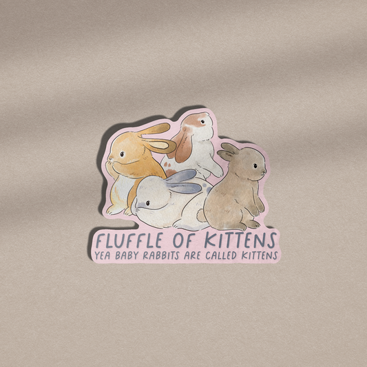 Fluffle Of Kittens - Vinyl Sticker