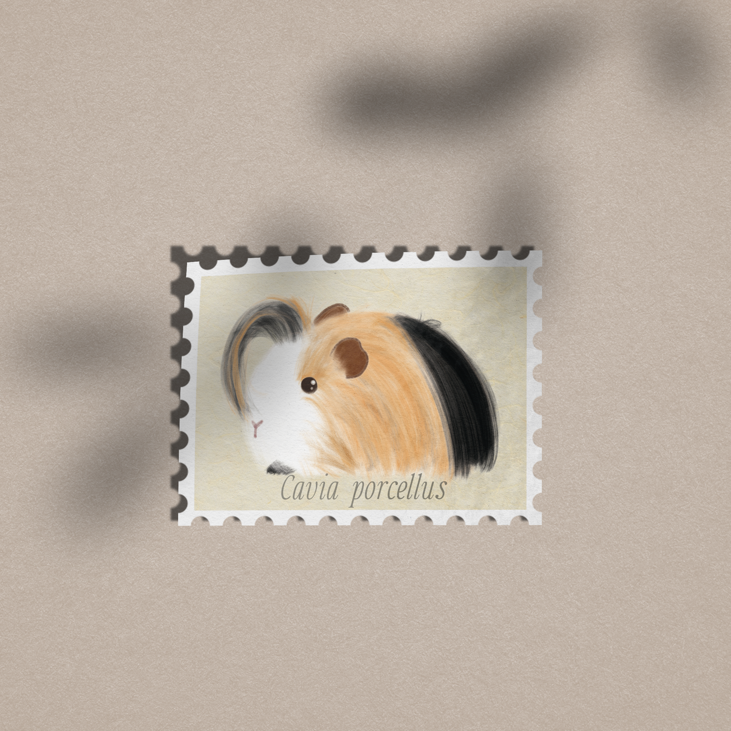 Guinea Pig aka Cavia porcellus - Vinyl Sticker