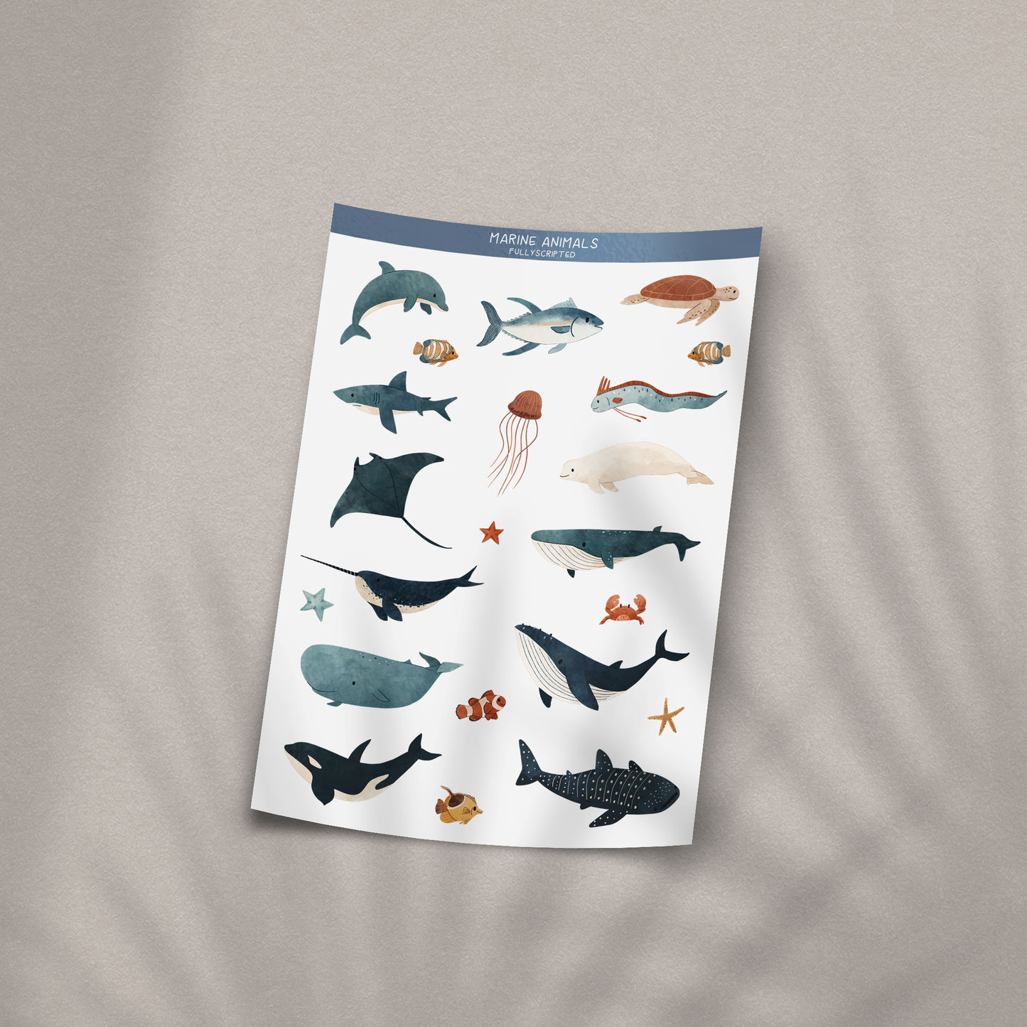 Marine Animals Vinyl Sticker Sheet