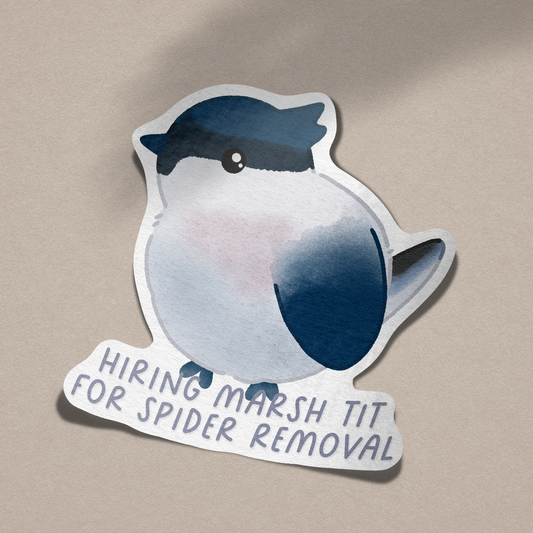 Marsh Tit Vinyl Sticker