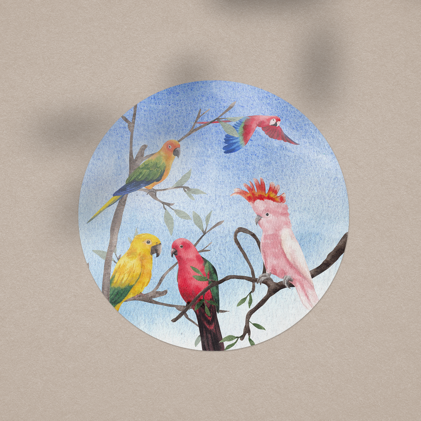 Parrot Party Vinyl Sticker