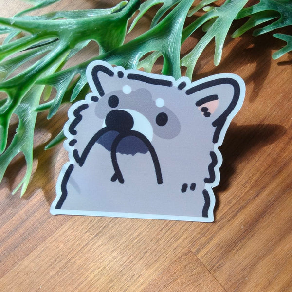 Shocked Peek-a-boo Raccoon Static Sticker