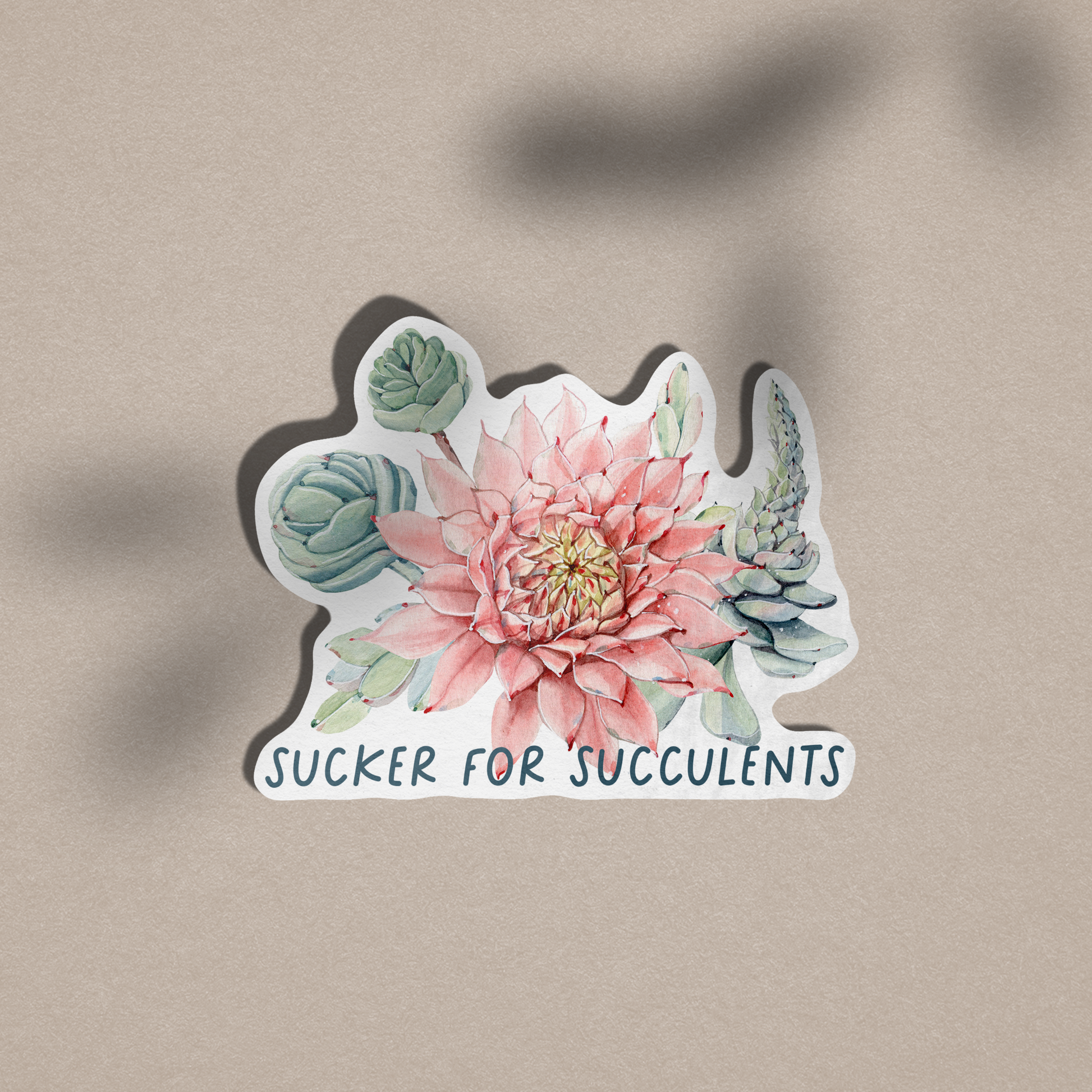 sucker for succulents Sucker For Succulents
