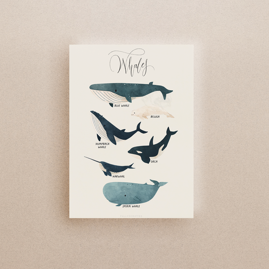 Whales Print